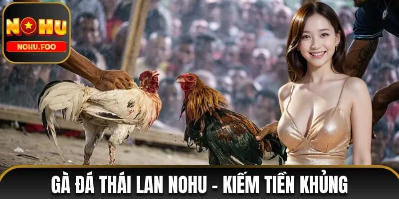 gà đá Thái Lan NOHU